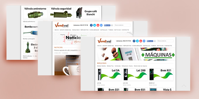 Desarrollo Web Vendival